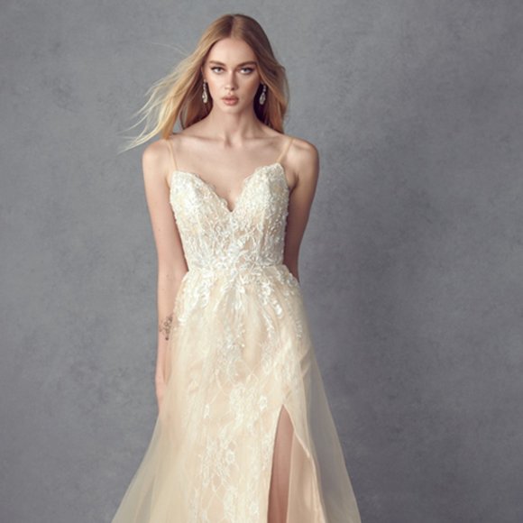 Juliet Dresses & Skirts - NEW FLOOR LENGTH OFF THE SHOULDER SLEEVELESS DRESS EMBROIDERED WITH LACE JT 249